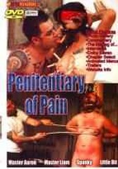 Penitentiary Of Pain.jpg